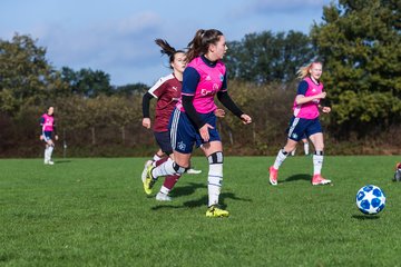 Bild 46 - B-Juniorinnen Halstenbek-Rellingen - Hamburger SV 2 : Ergebnis: 3:8